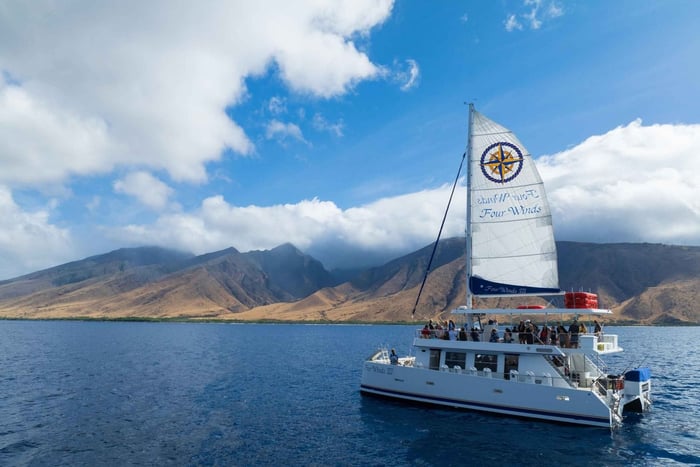 Maui: Snorkel Tour to Coral Gardens