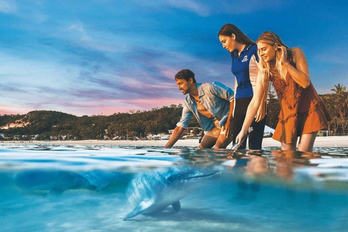 Moreton Eiland: Tangalooma snorkeltour & dolfijnen voeren