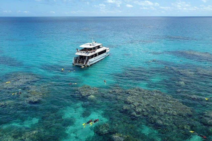 Port Douglas: Cruzeiro de Snorkeling na Grande Barreira de Coral Exterior