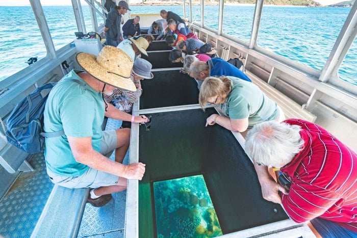 Rosslyn: Great Keppel Island Glass Bottom Boat Tour