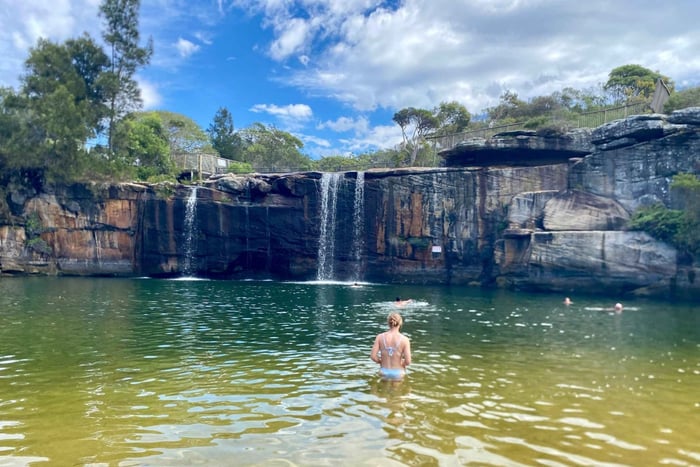 Sydney: Vandring i liten grupp i Royal National Park, bad, picknick