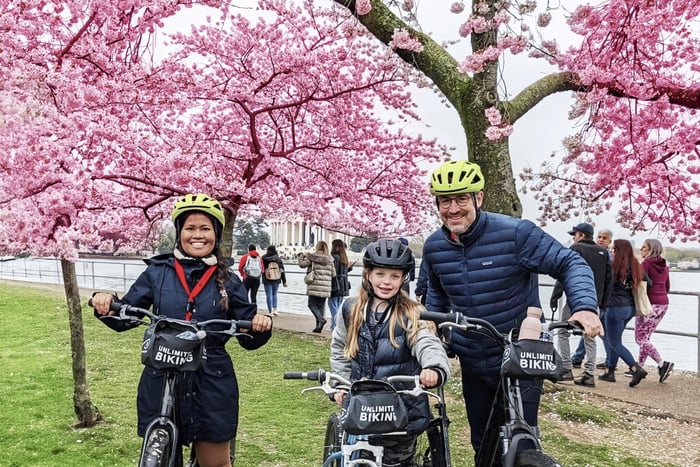 Washington DC: Kirschbltenfest-Tour mit dem Fahrrad, Southwest Federal  Center, Whitsundays