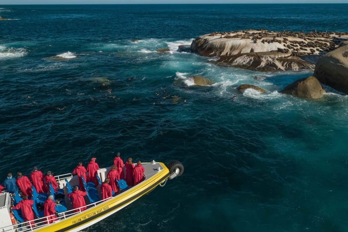 Wilsons Promontory: Ettermiddagscruise i villmarken
