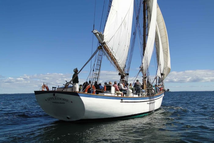 Camden: Excursión de un día en Goleta Histórica