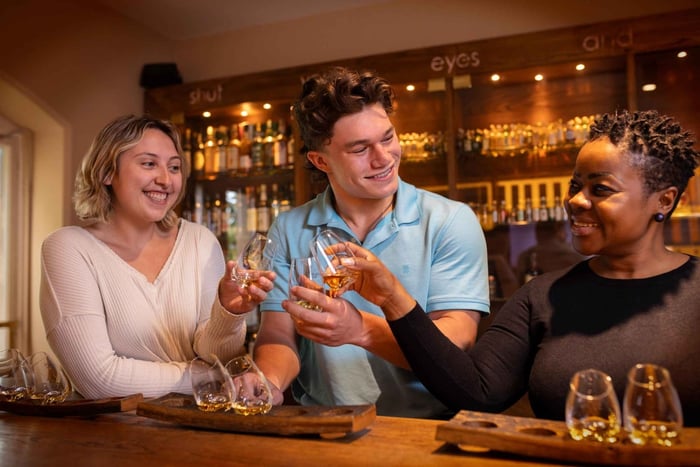 Dublin: Irish Whiskey Museum Tour og whiskysmagning