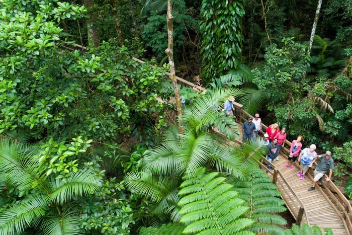 From Cairns: Daintree Rainforest & Cape Tribulation 4WD Tour