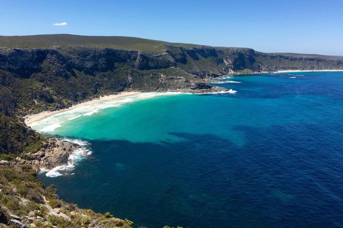 Kangaroo Island: Tur med udsigt, natur og dyreliv