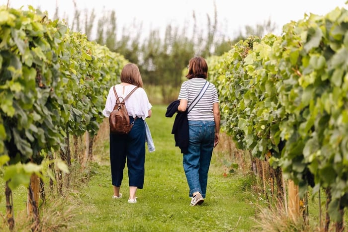 visita a un viñedo con cata de vino y picoteo local