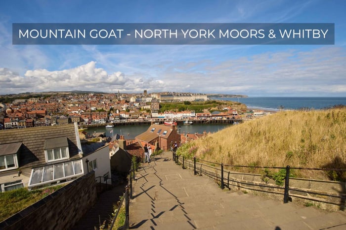 Vanuit Noordelijke Moors en Whitby Tour