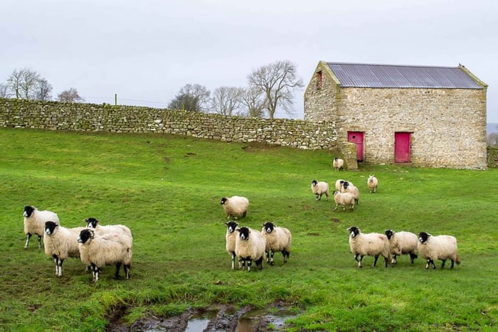 Yorkshire Dales -retki Yorkista