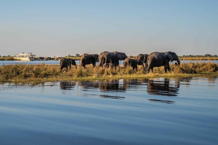 3 Dagen Ontdek Zambia, Zimbabwe en het Chobe Park in Botswana