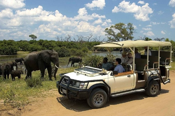 Chobe day trip from Victoria Falls