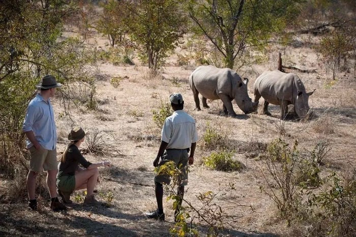 Excursão de um dia em Livingstone saindo de Victoria Falls + safári de rinocerontes