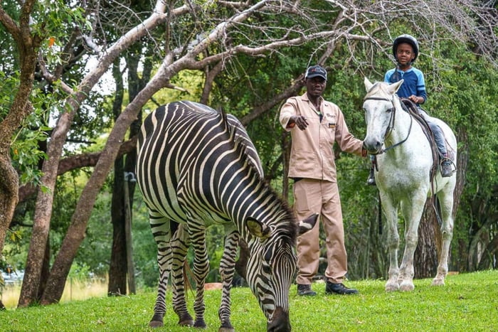 Livingstone: Children's Pony Ride