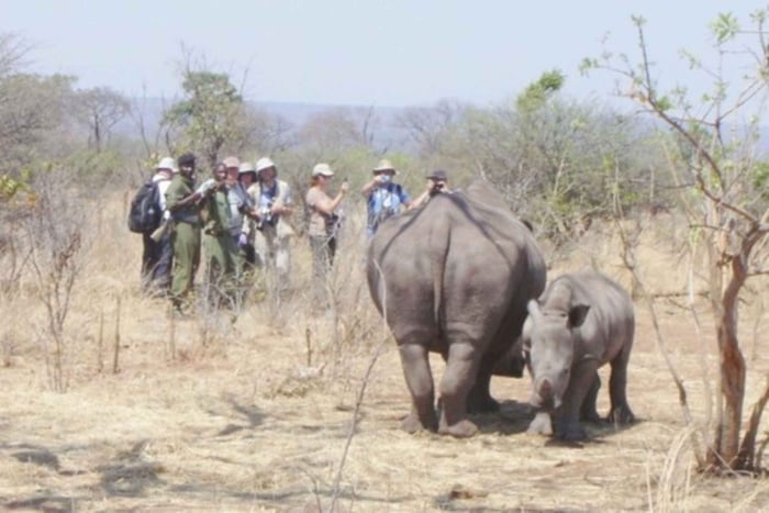 Livingstone : safari à pied dans le parc national de Mosi-oa-Tunya