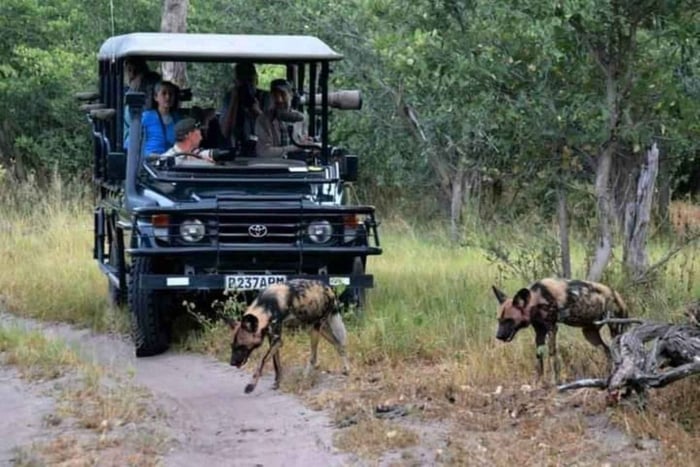 Depuis Lusaka : safari de 4 jours dans le Bas-Zambèze avec repas