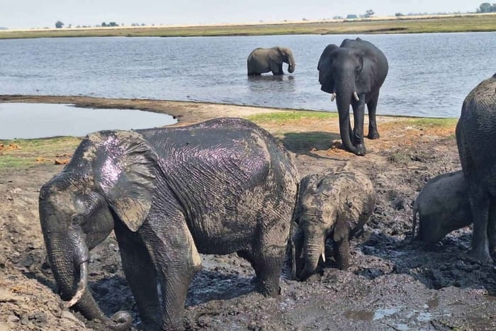 Lusaka: Kafue National Park 3-Day Safari Tour