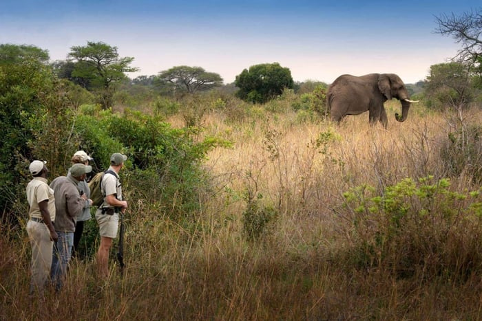 Victoria Falls and Hwange National Park 4-Day Safari Tour