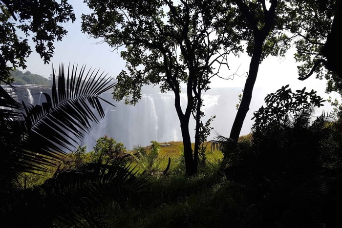 Victoria Falls: Guidet tur til fods