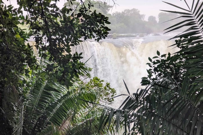 Victorian putoukset: Puolen päivän opastettu kierros, Sambia ja Zimbabwe