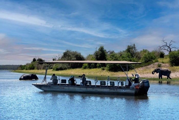 Victoria Falls/Kasane: Chobe National Park Day Trip