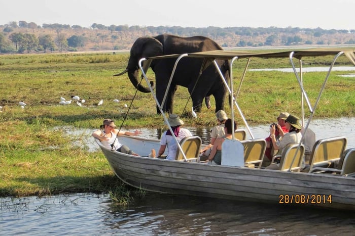 Excursion à Chobe depuis les chutes Victoria, au Zimbabwe