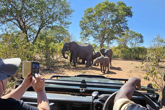 Passeio de carro com rinocerontes - Parque Nacional Mosi-oa-tunya