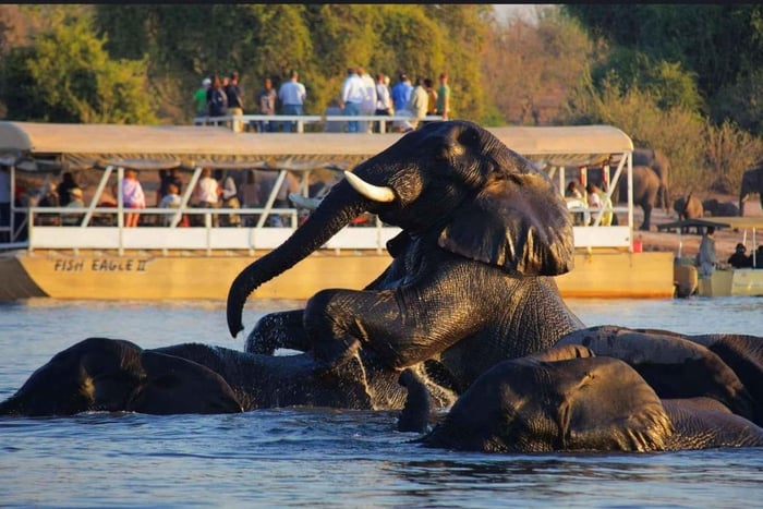 Viagem de um dia a Chobe, almoço, Ilha Impalila, Namíbia