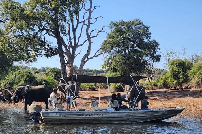 Safari exprés por el río Chobe + recogida
