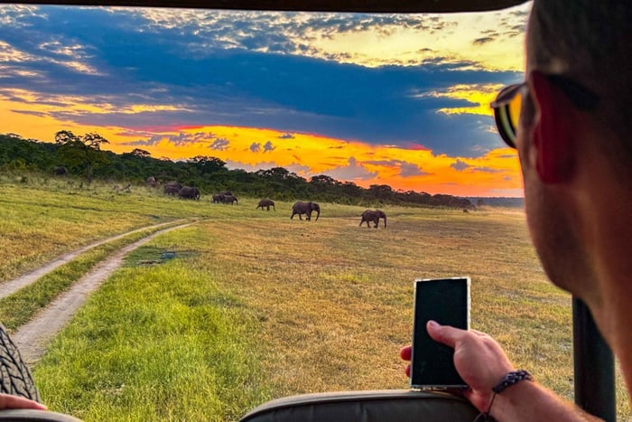Explora el Zambeze: safari guiado