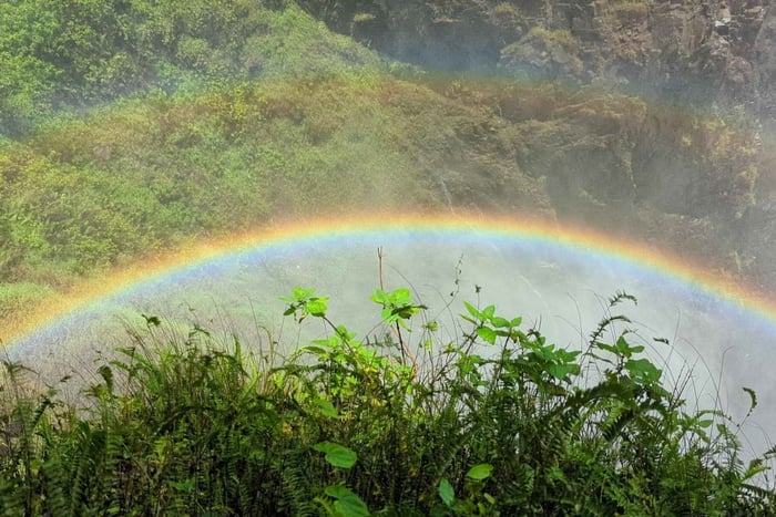Experiência completa nas Cataratas Vitória – Privada e em ritmo lento