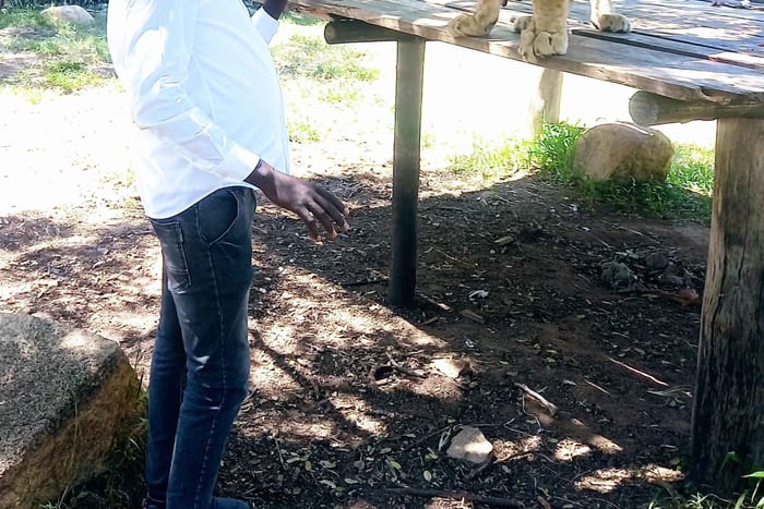 Harare: mezza giornata di avventura all'aria aperta