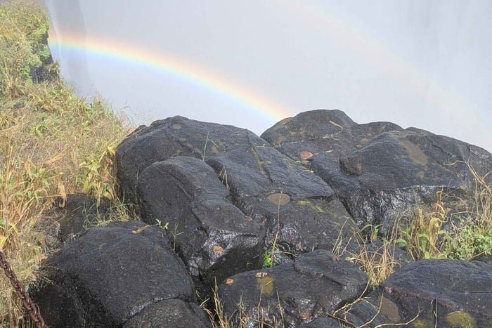 Victoria Falls Leisure Walk & Big Tree Experience
