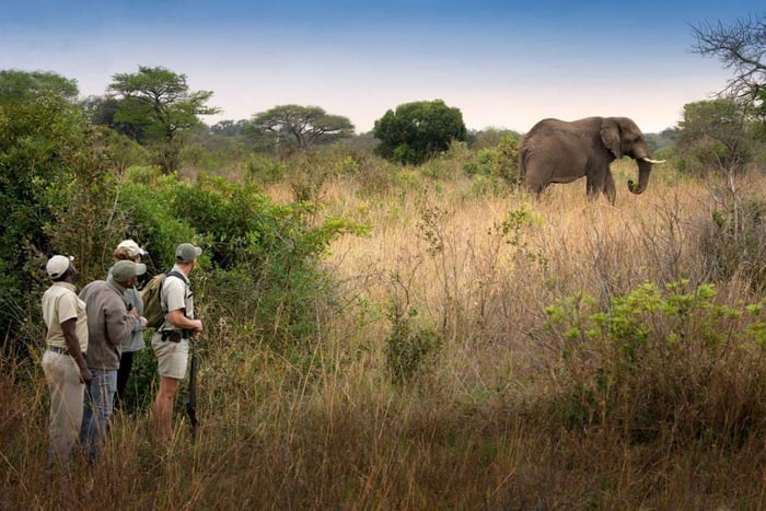 Victoria Falls: Walking Safari
