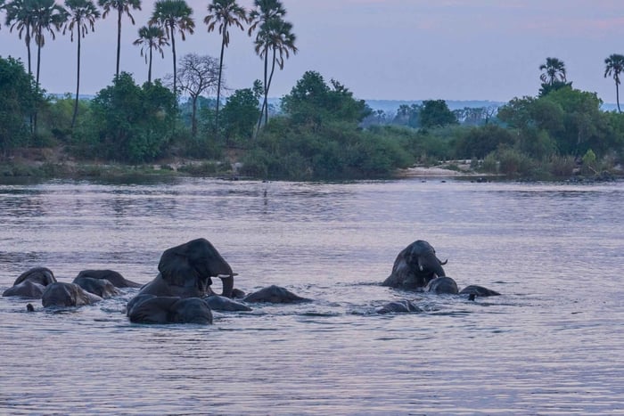 Rio Zambeze: Cruzeiro com jantar