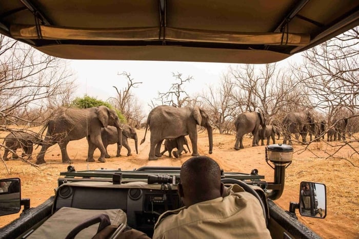 Zambezi River Segway Tour with drinks
