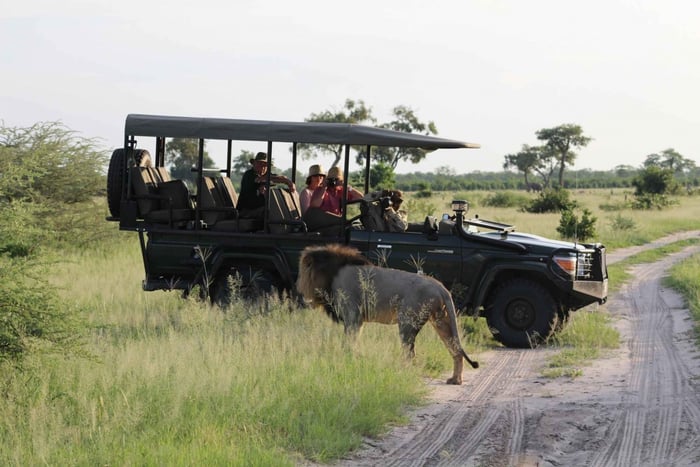 Chobe: wycieczka 1-dniowa z Victoria Falls, Zimbabwe