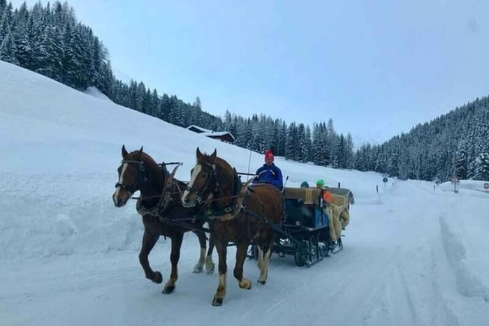 Alpine Horse Carriage Ride & Fondue Private Tour