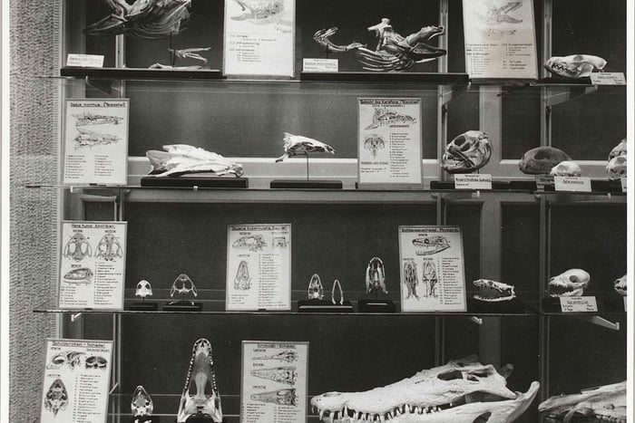 ETH Zurich Tour: Rich Animal Kingdom