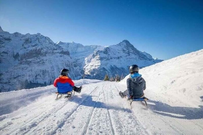 From Zurich - Alpine Winter Sledging Adventure Private Tour