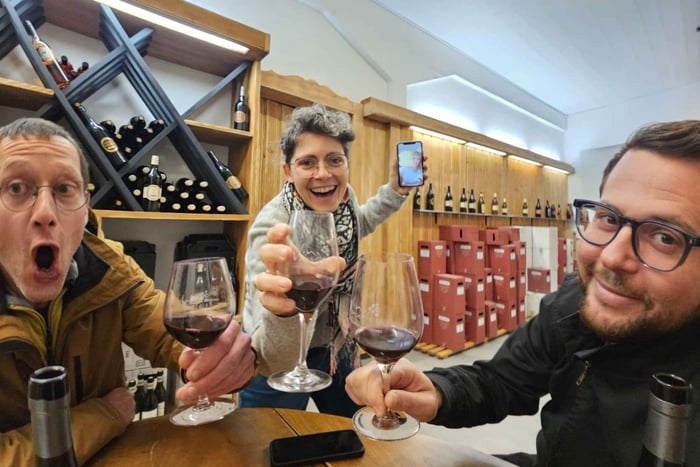 Desde Zúrich: castillo de Chillon, Glacier 3000 y viñedos de Lavaux