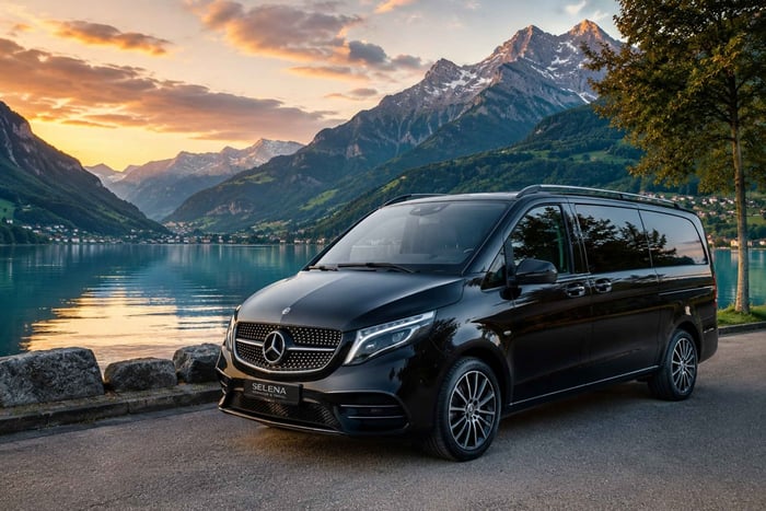 Depuis Zurich : excursion privée d'une journée au Liechtenstein et à Davos