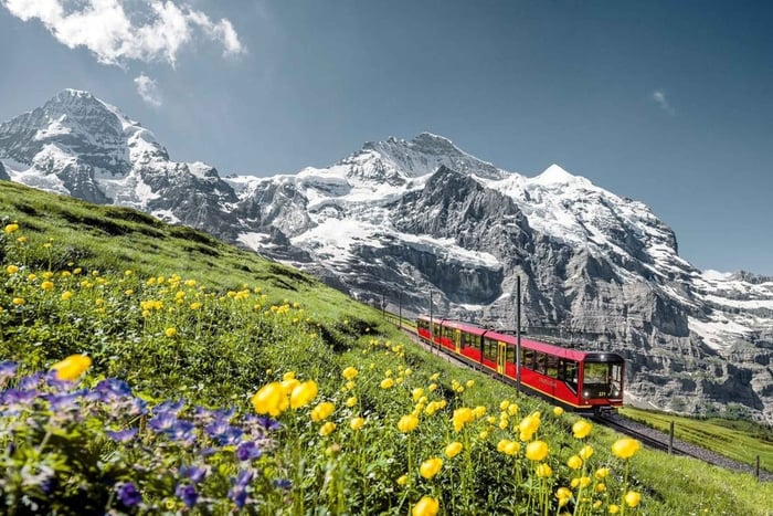 From Zurich or Lucerne: 2-Day Jungfraujoch Tour