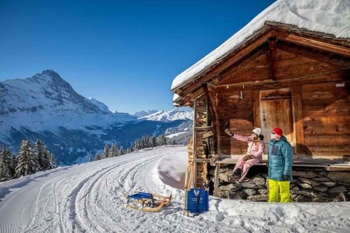 From Zurich or Lucerne: Bernese Oberland Winter Private Tour