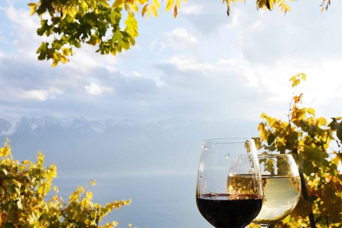 From Zurich - Swiss Cheese, Chocolate & Wine Private Tour