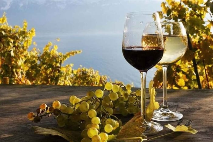 From Zurich - Swiss Vineyard Tour with Wine Tasting & Lunch