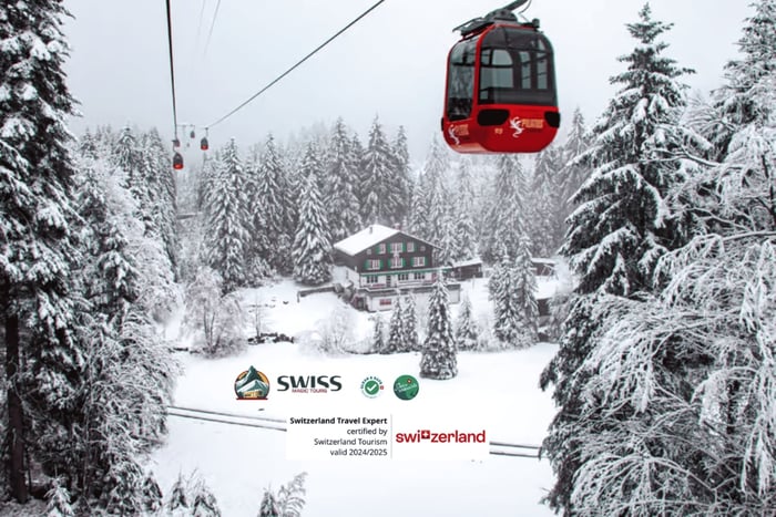 Pilatus & Lucerne Private Day Trip