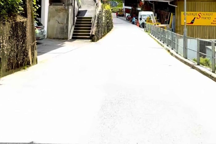 Privat naturskjønn tur i de sveitsiske Alpene: Zürich, Interlaken, Lauterbrunnen