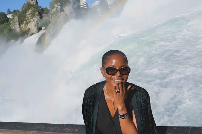 Zurich: Private Half-Day Rhine Falls Tour with a Local Guide