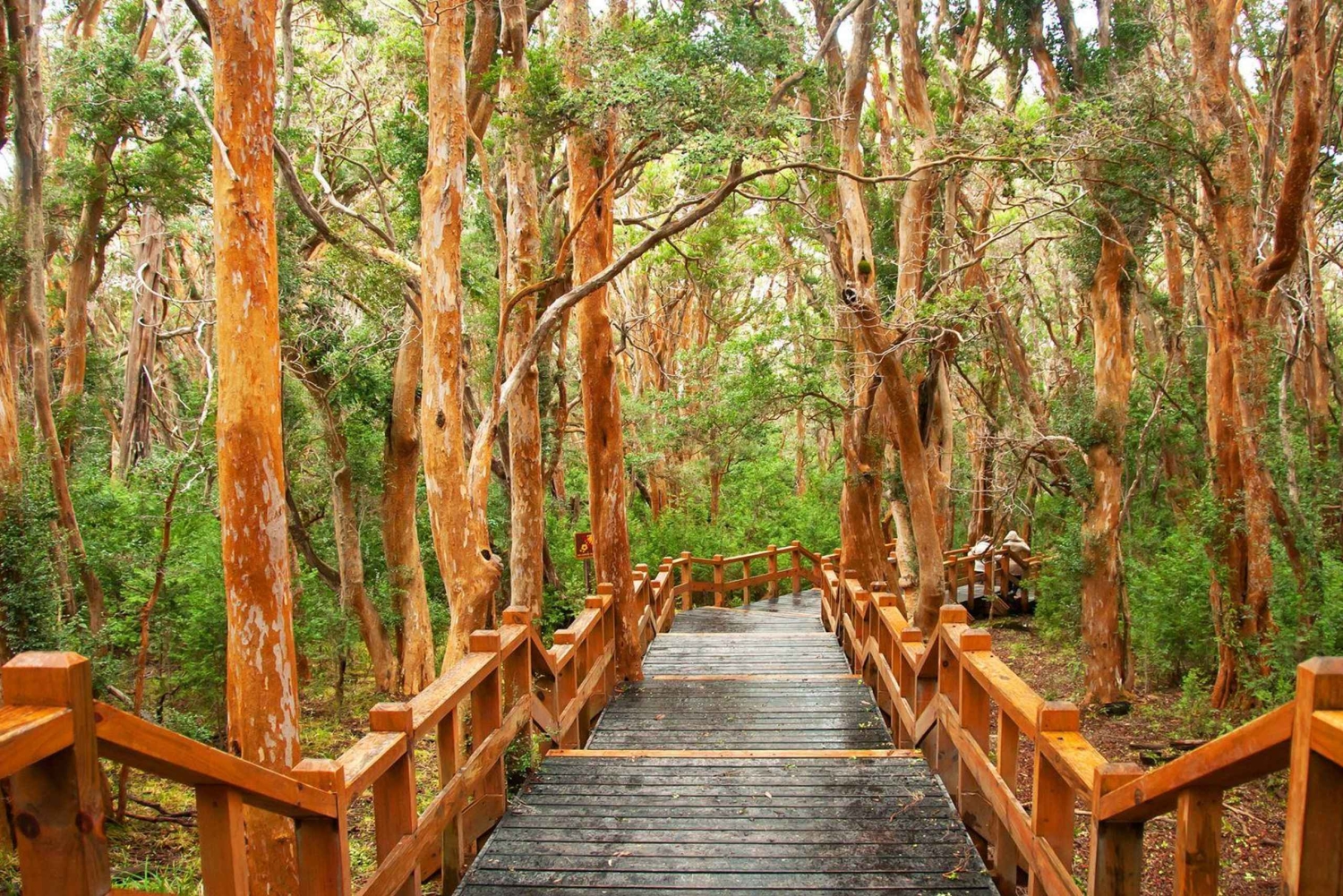 3-Day Bariloche with Optional Airfare from Buenos Aires